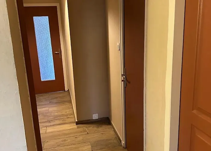 Appartement T3 70m2 Dans Maison Quartier Residentiel Pau